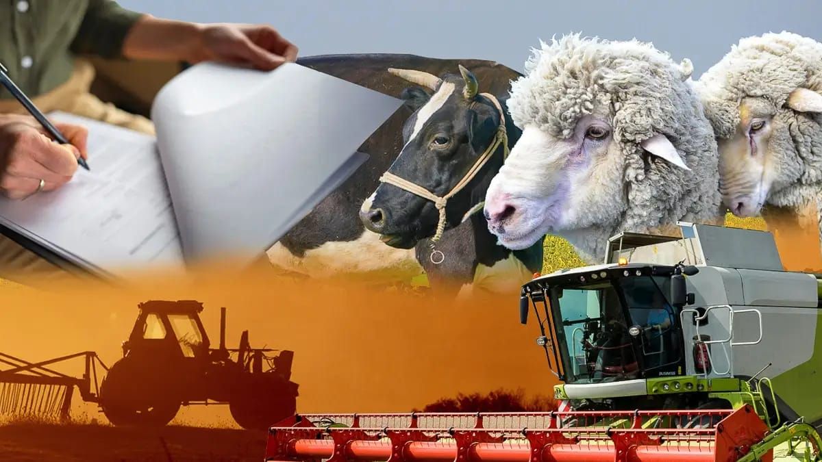 Сельхозперепись в Казахстане: что нужно знать