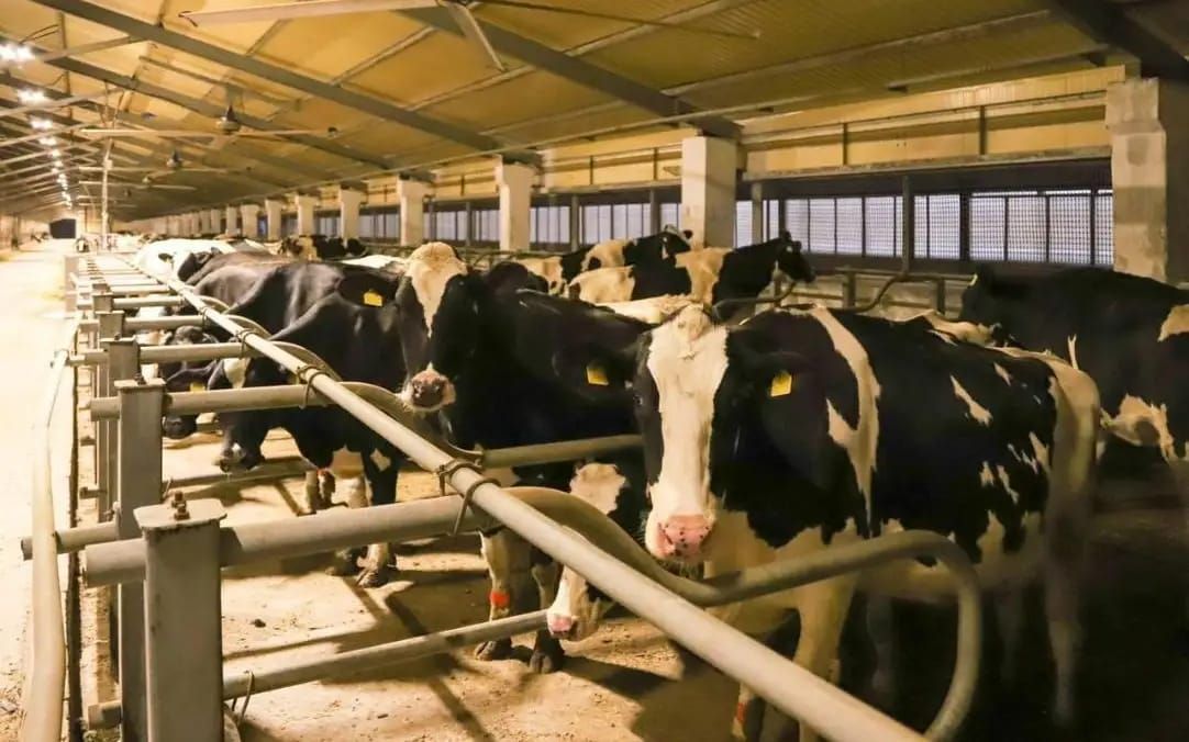 Когда в Казахстане стартует сельскохозяйственная перепись