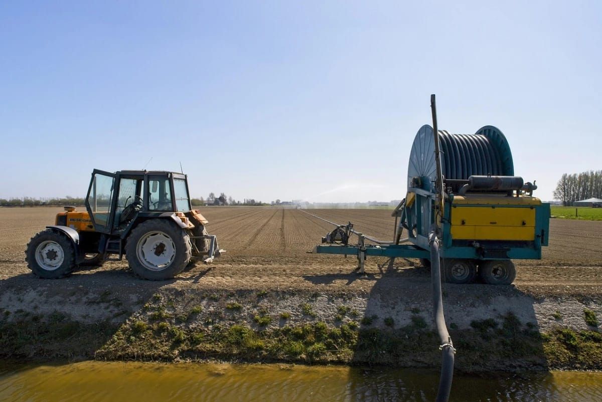 сельскохозяйственная перепись